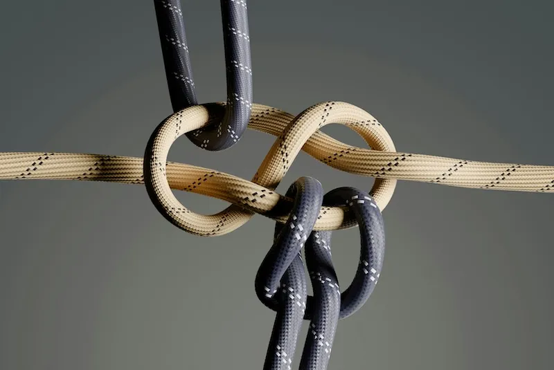 Four ropes meeting in a knot.