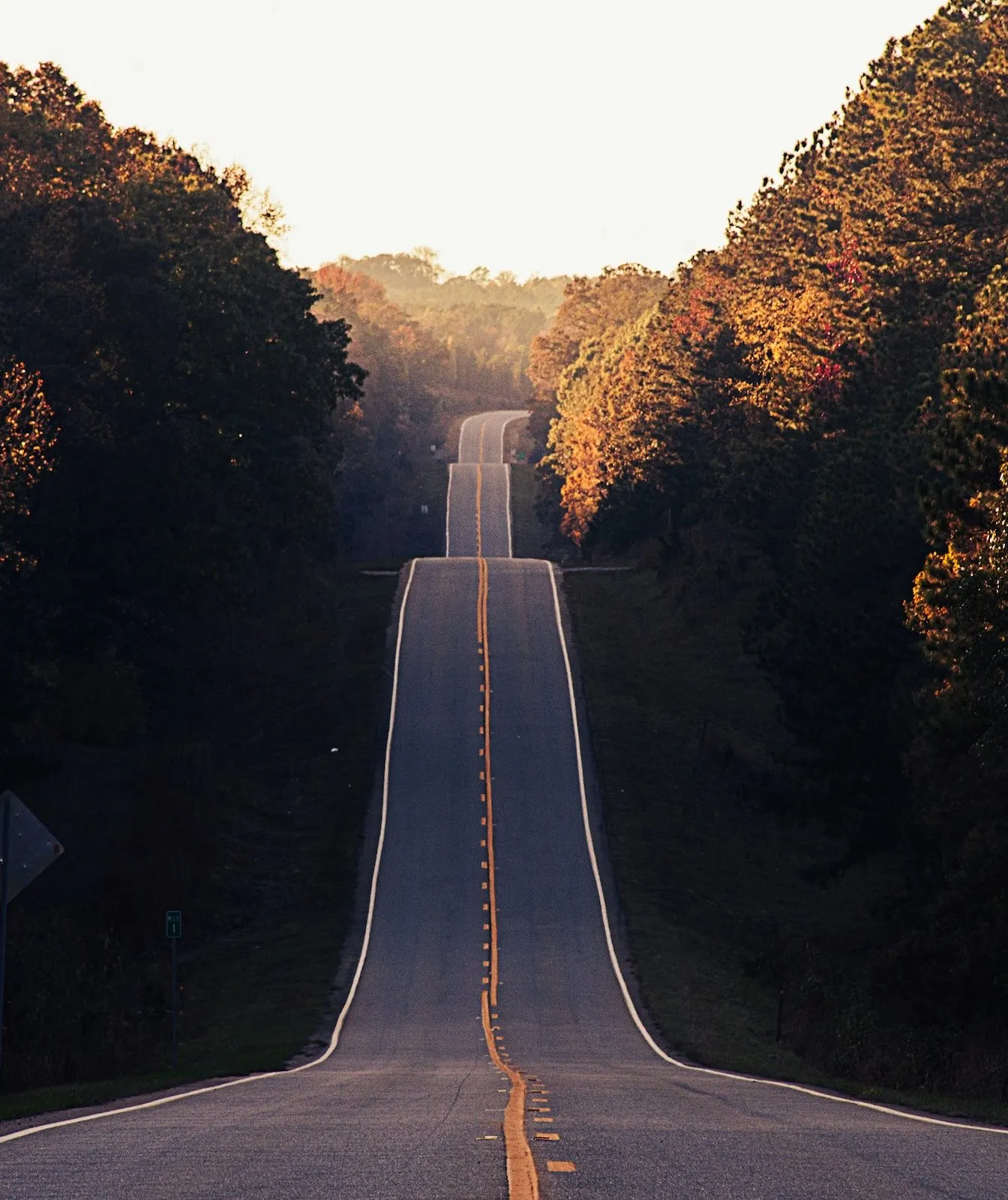 A hilly forest road rising in the distance.